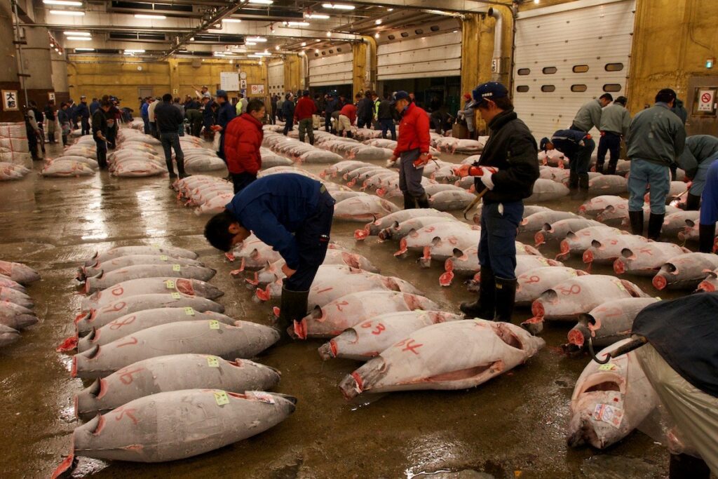 Рыбный рынок Цукидзи